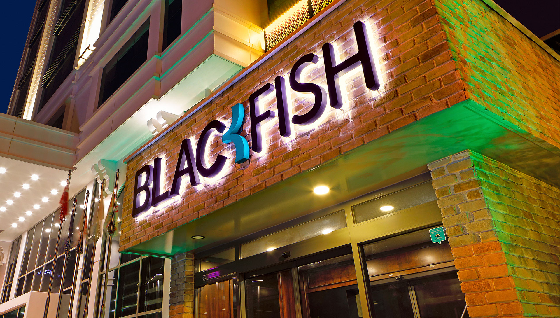 Blackfish3
